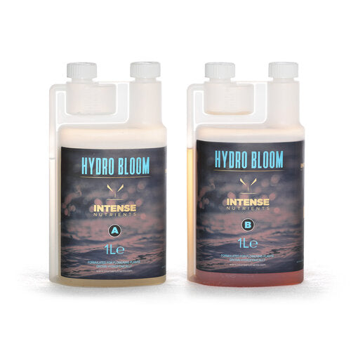 Intense Nutrients Hydro Bloom A+B image 0