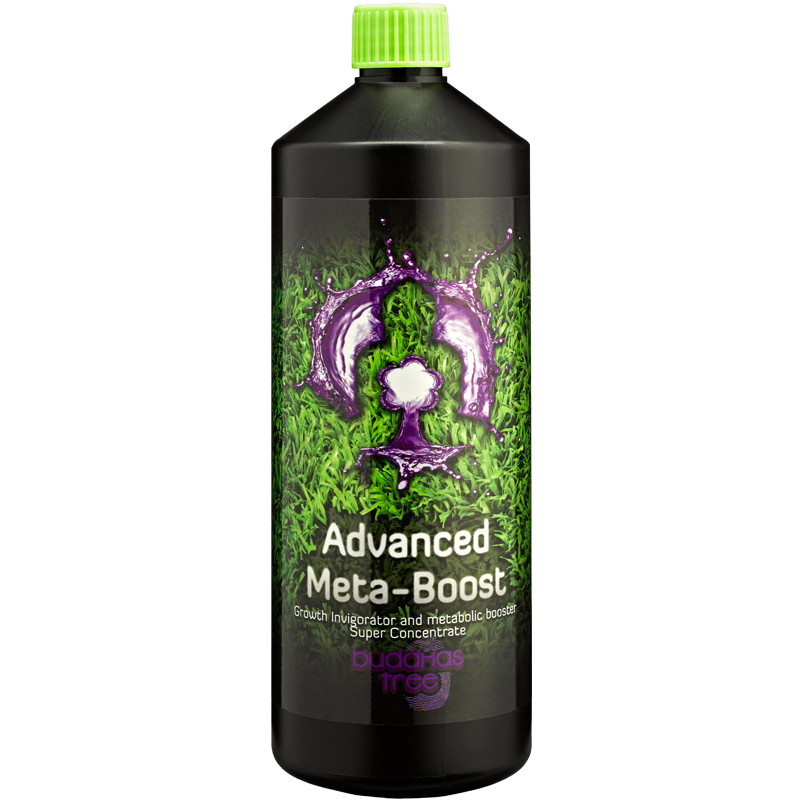 1L Buddhas Tree Advanced Meta Boost