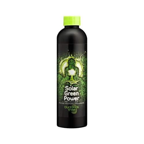 Buddhas Tree Solar Green Power 