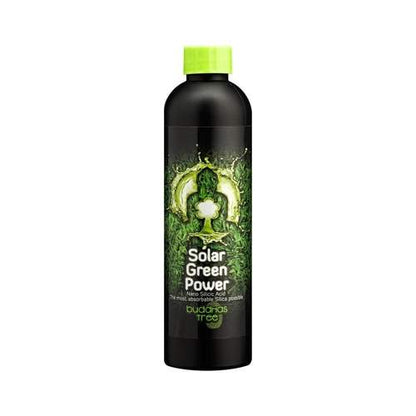 Buddhas Tree Solar Green Power 