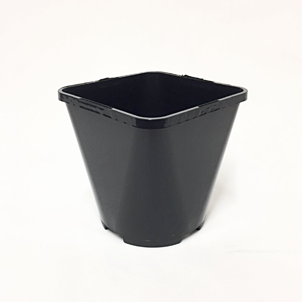 Plastic Pots image 0