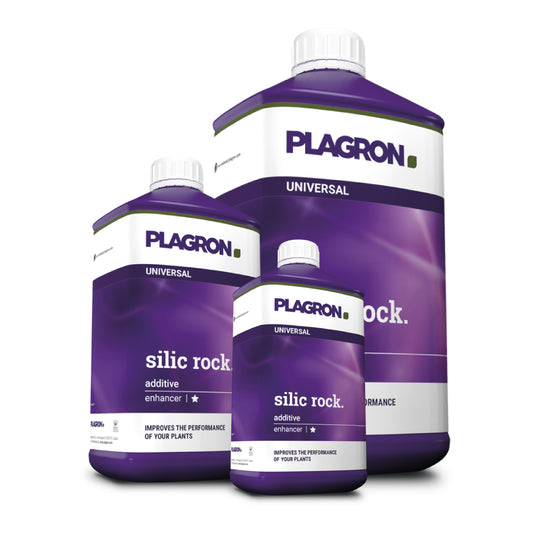 Plagron Silic Rock