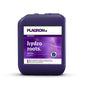 Plagron Hydro Roots