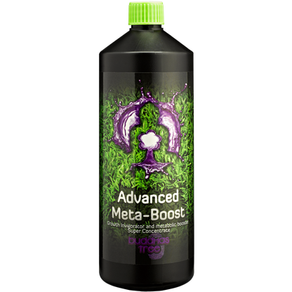 1L Buddhas Tree Advanced Meta Boost 