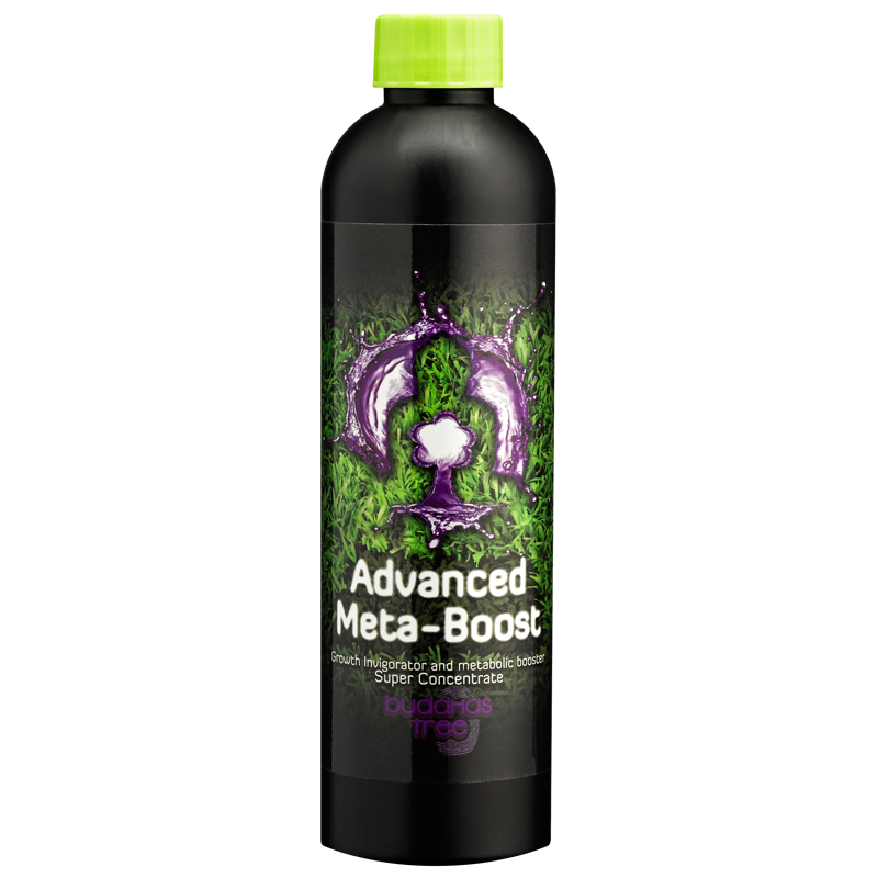 250ml Buddhas Tree Advanced Meta Boost 