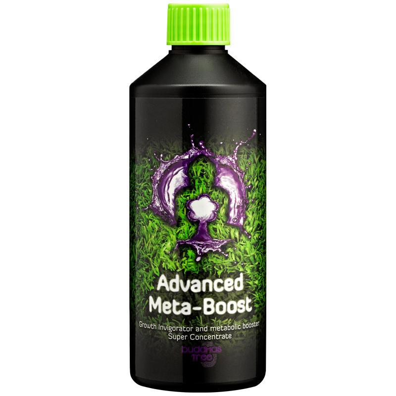 500ml Buddhas Tree Advanced Meta Boost