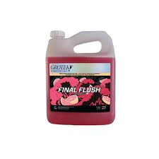 Final Flush - Strawberry - 1L image 0
