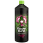 1L Buddhas Tree Flower Burst 