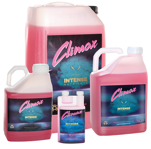 Intense Nutrients Climax