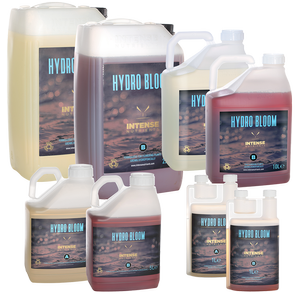Intense Nutrients Hydro Bloom A&B