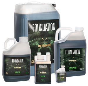 Intense Nutrients Foundation