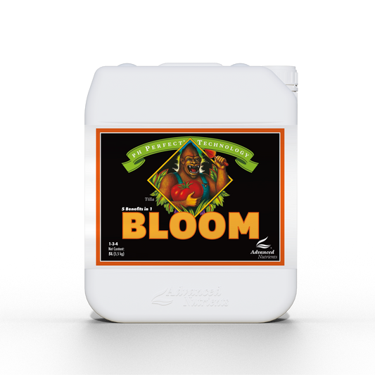 PH Perfect Bloom - 4L
